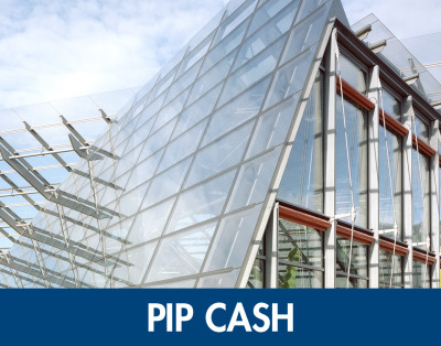 Pip Cash. Remunerate your liquidity